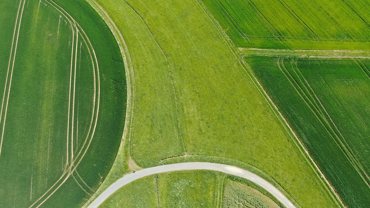 landscape  field  meadow free photo