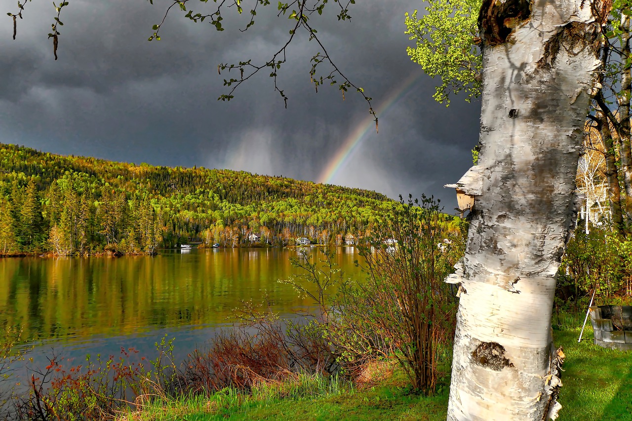 landscape  rainbow  nature free photo