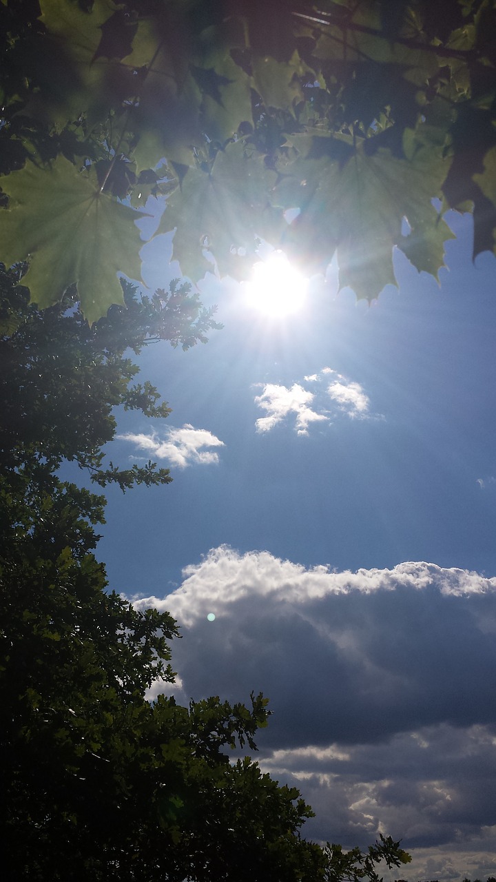 landscape sun clouds free photo