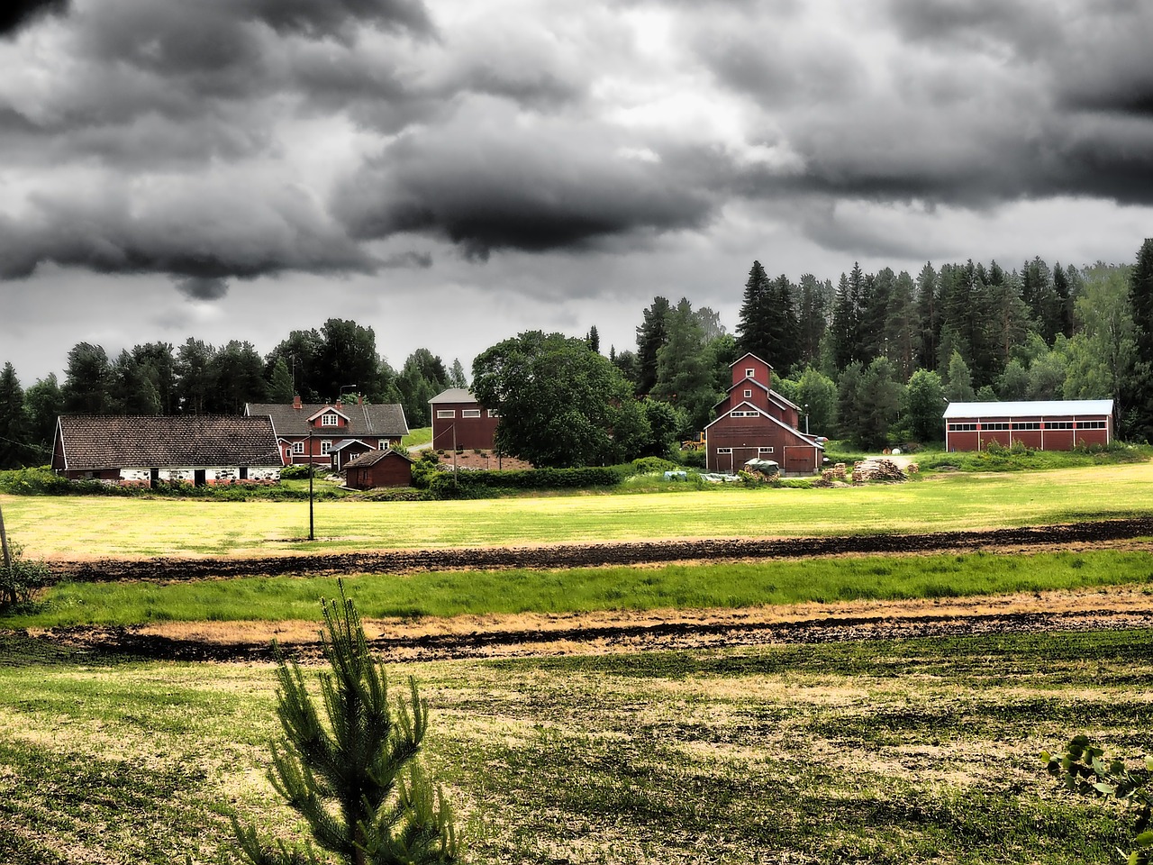 landscape countryside milieu free photo