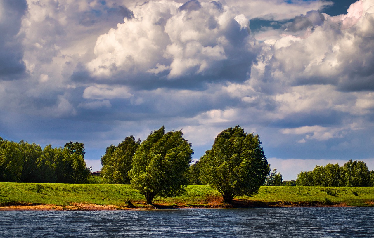 landscape  trees  scene free photo