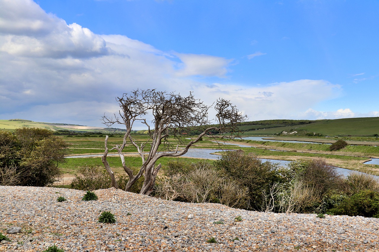 landscape  coast  england free photo