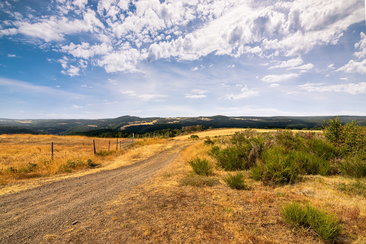 landscape  eifel  nature free photo