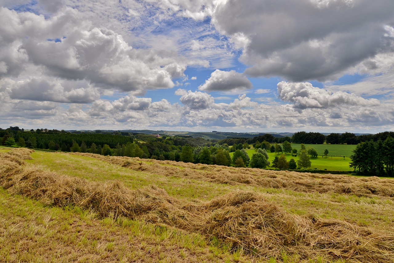 landscape  hay  clouds free photo