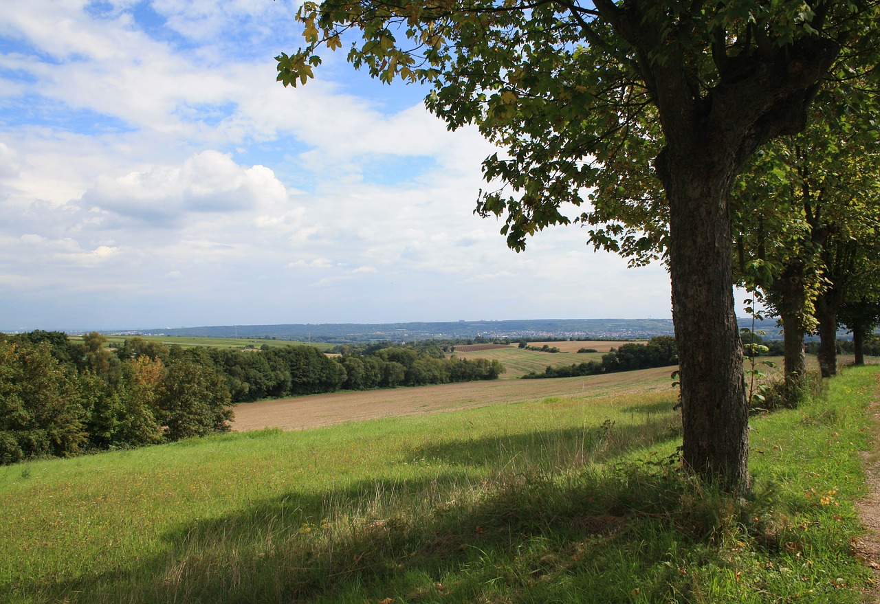 landscape nature sky free photo