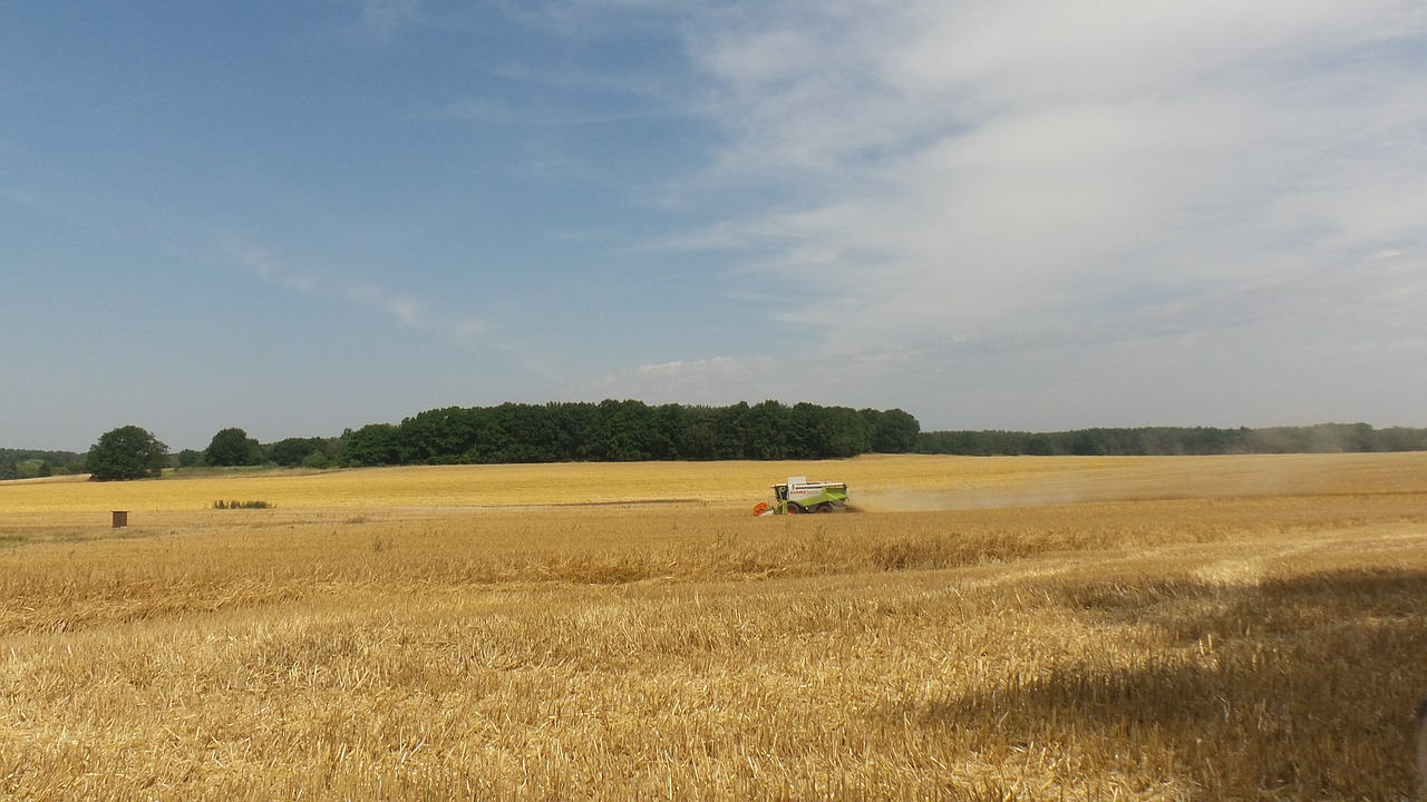 landscape harvest field free photo