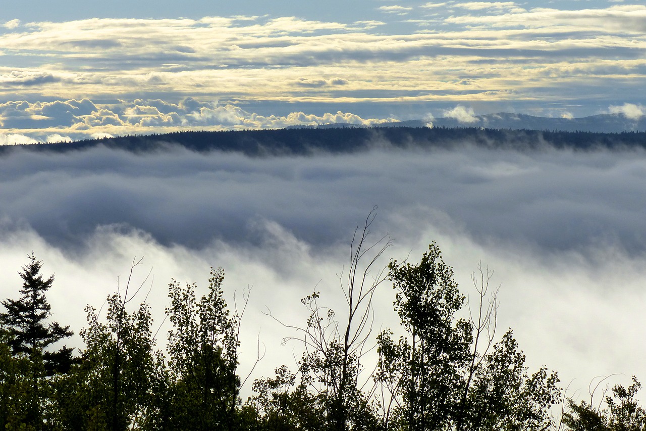 landscape fog bank clouds free photo