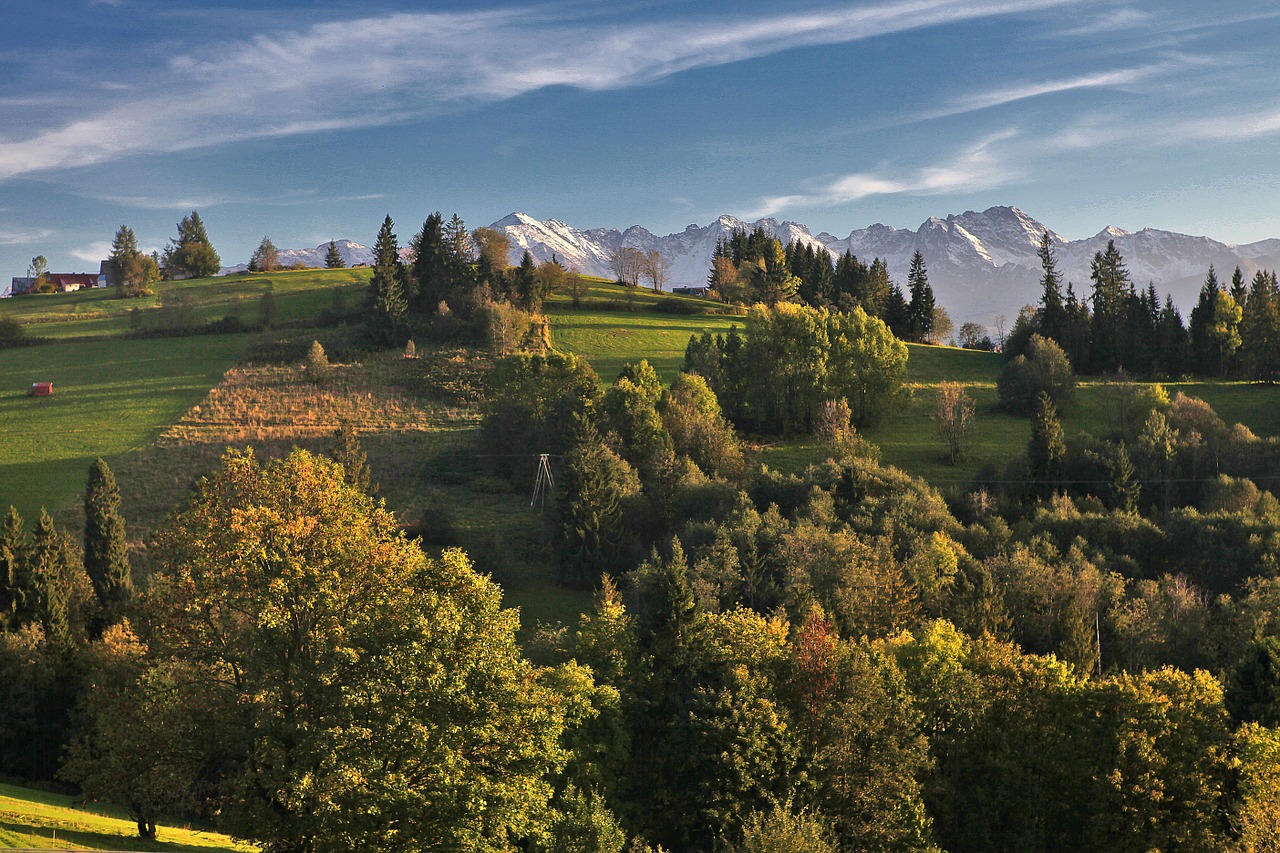 landscape morning morning sun free photo