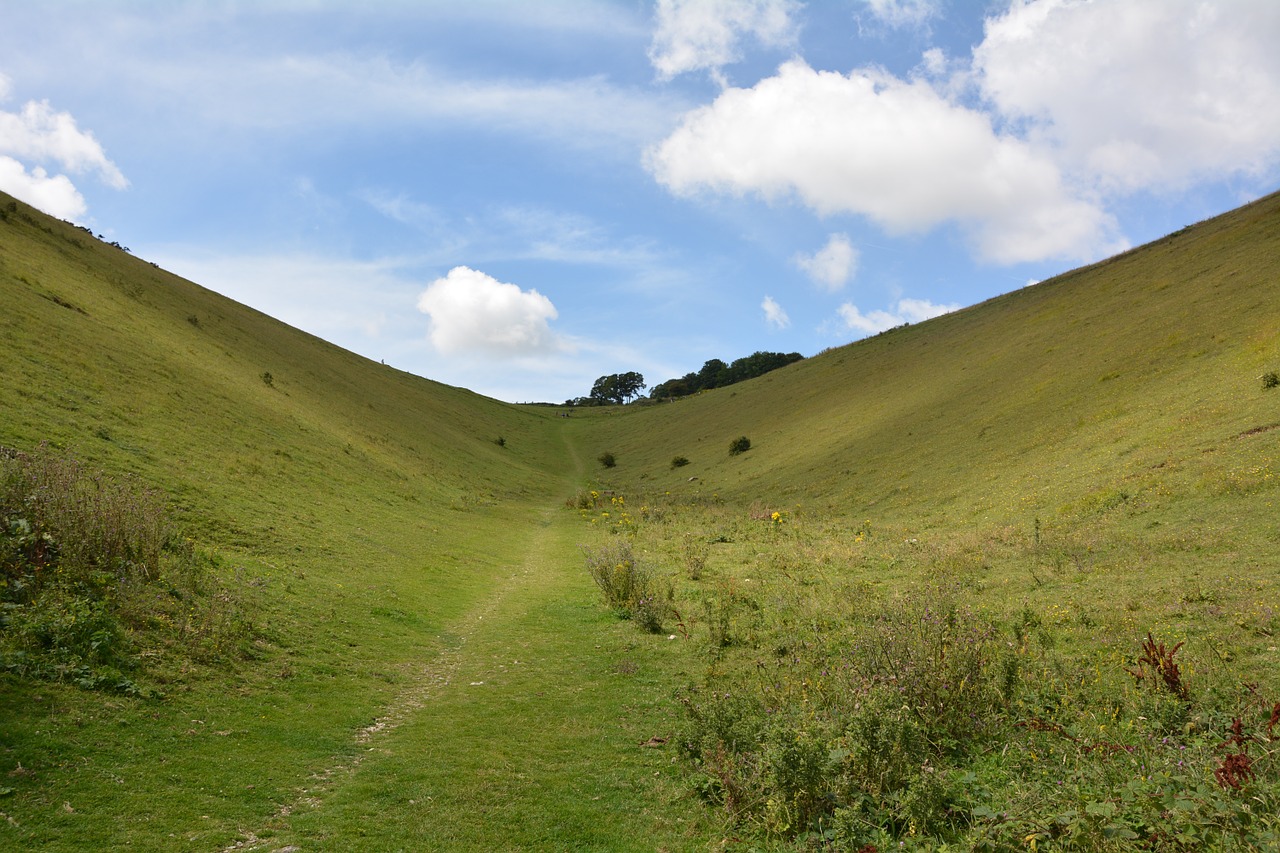 landscape grass meadow free photo