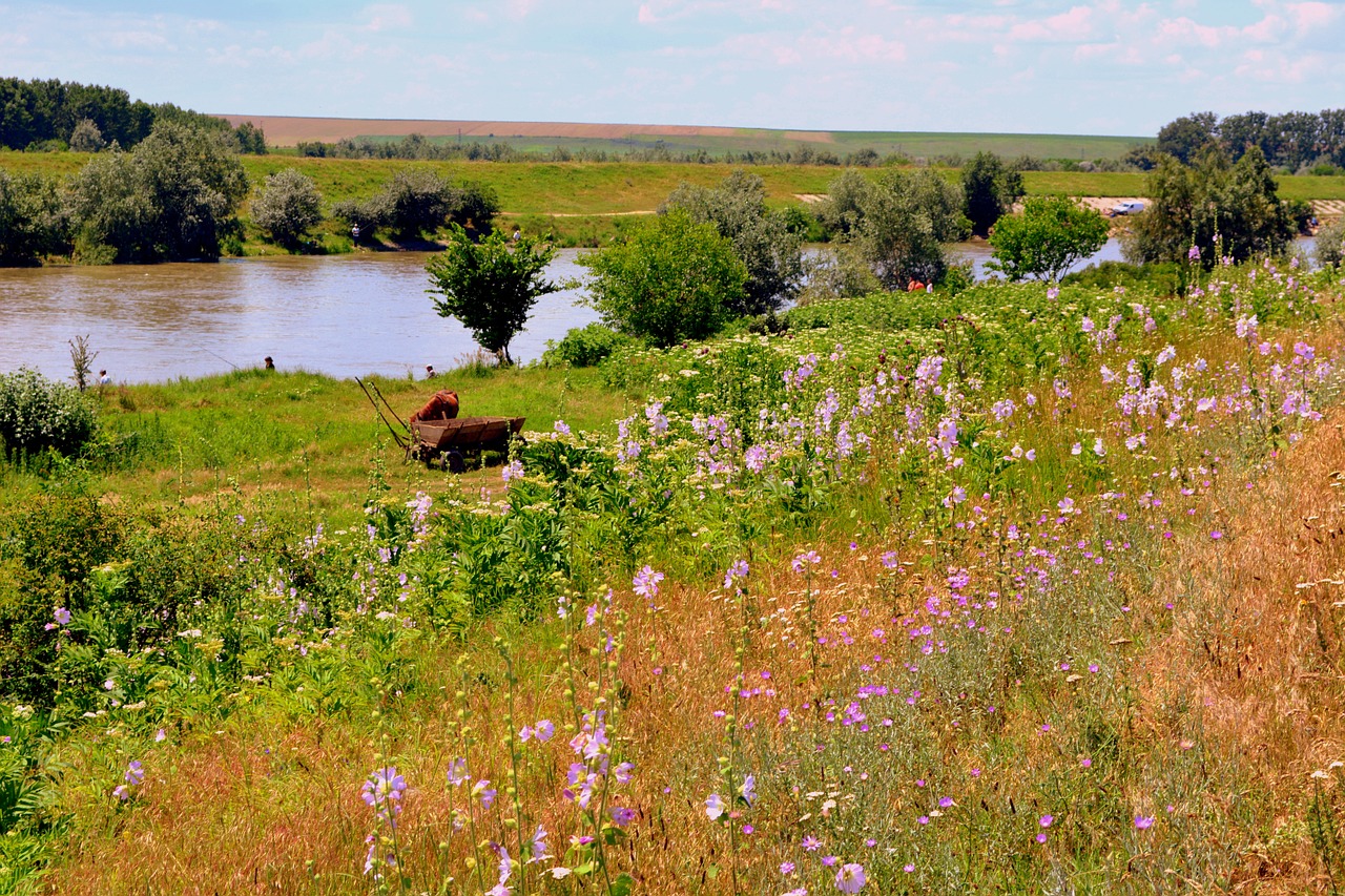 landscape lake grass free photo