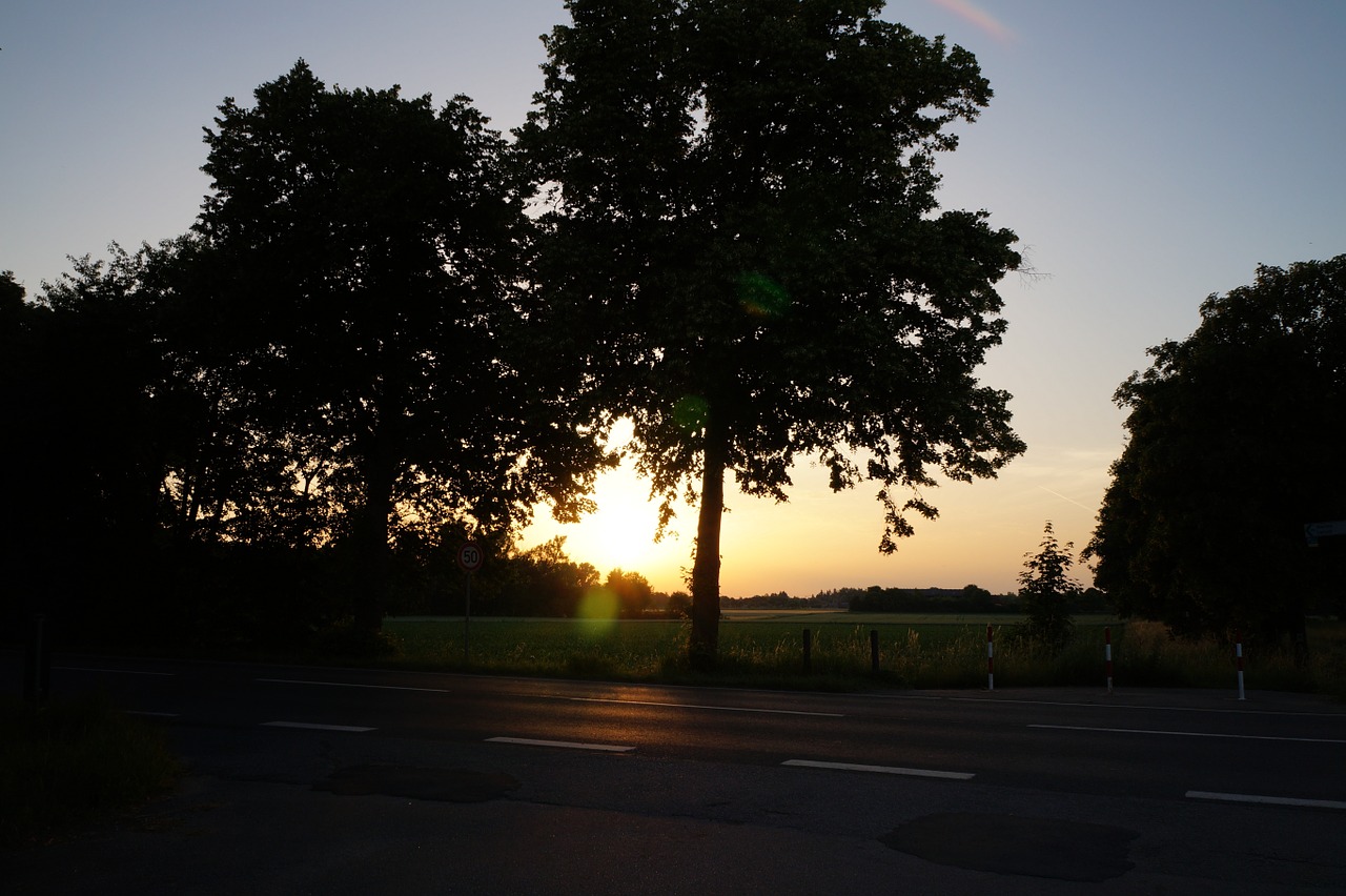 landscape trees nature free photo