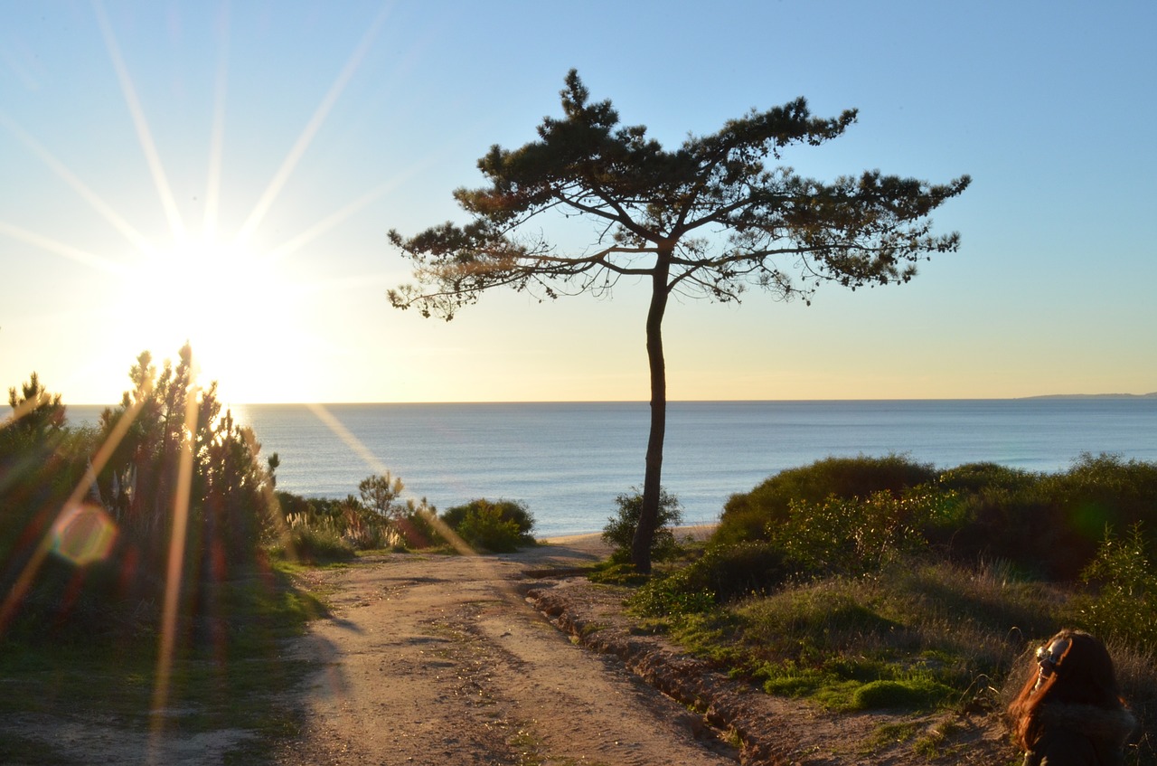 landscape sea ocean free photo