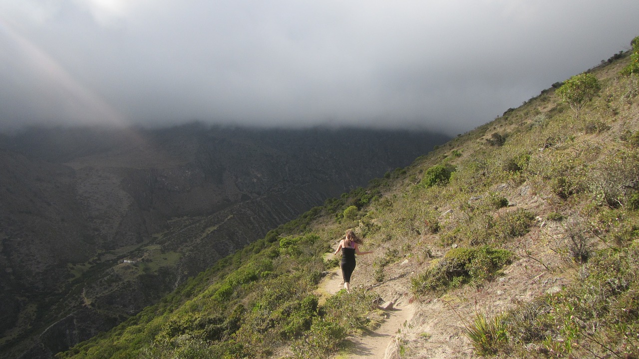 landscape mountains path free photo