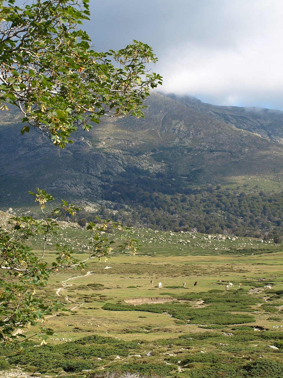 landscape plateau valley free photo