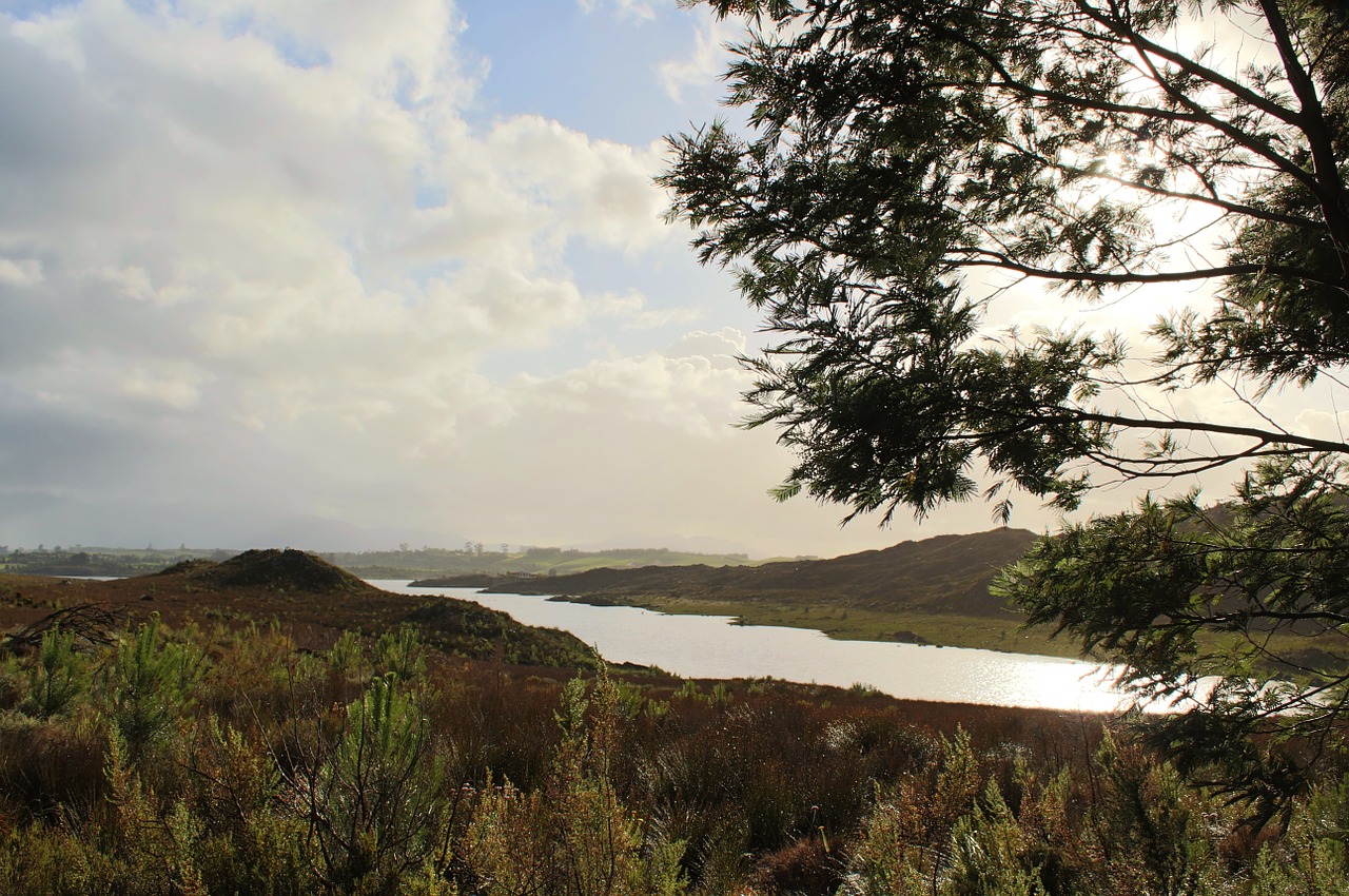 landscape river lake free photo