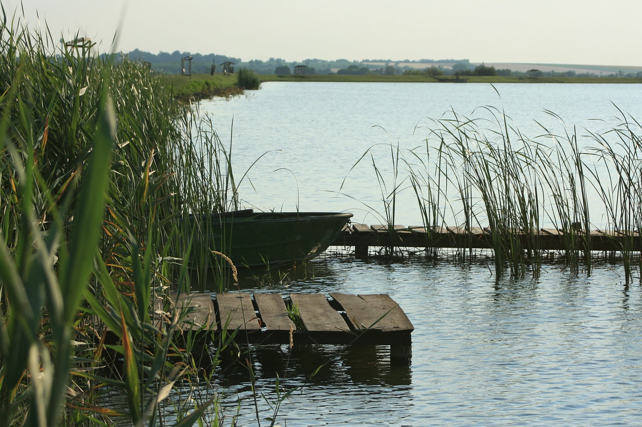 landscape lake waterfront free photo