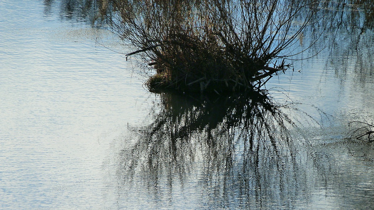 landscape nature water free photo