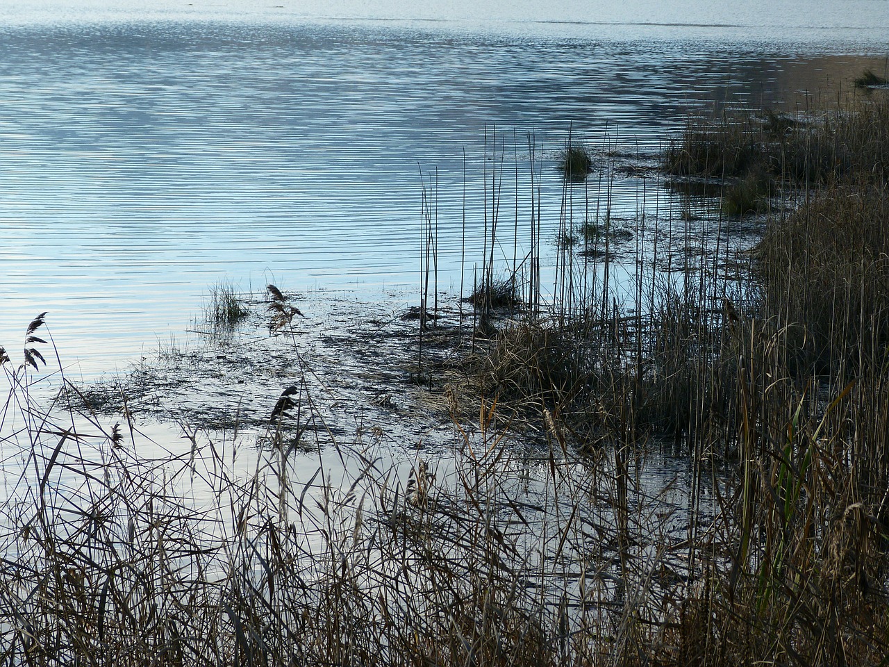 landscape nature water free photo