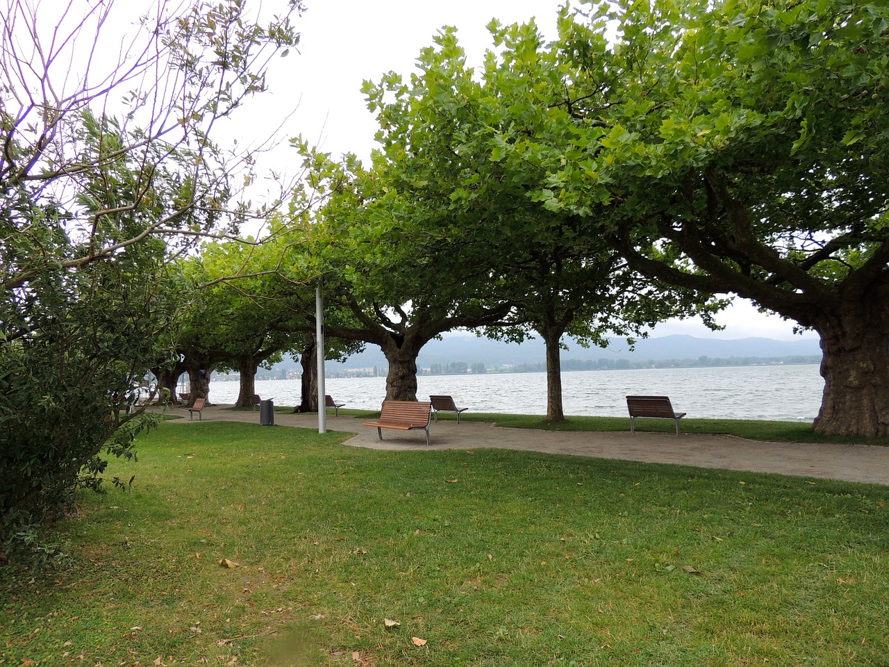 landscape lake lake constance free photo