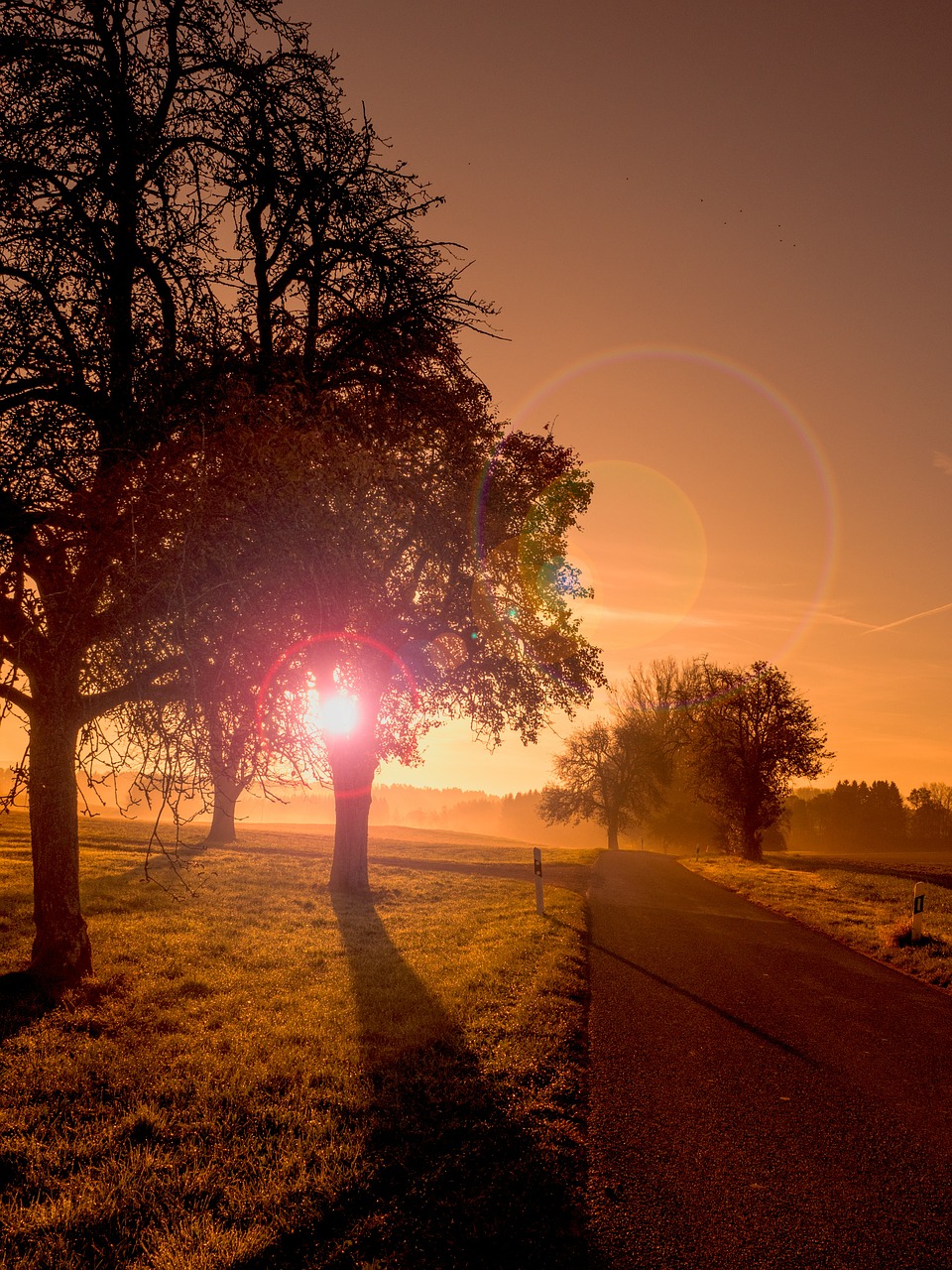 landscape road sunrise free photo