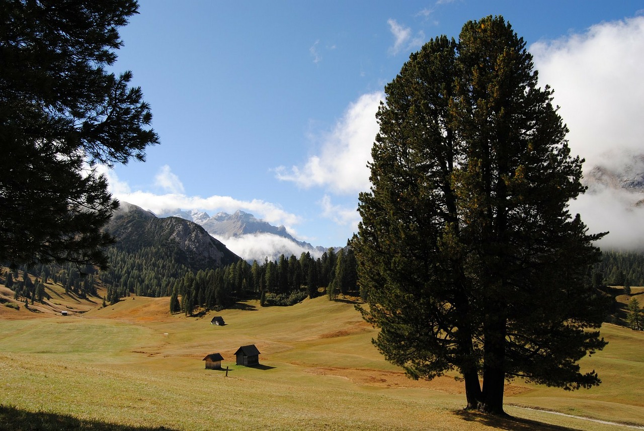 landscape mountain alpine free photo