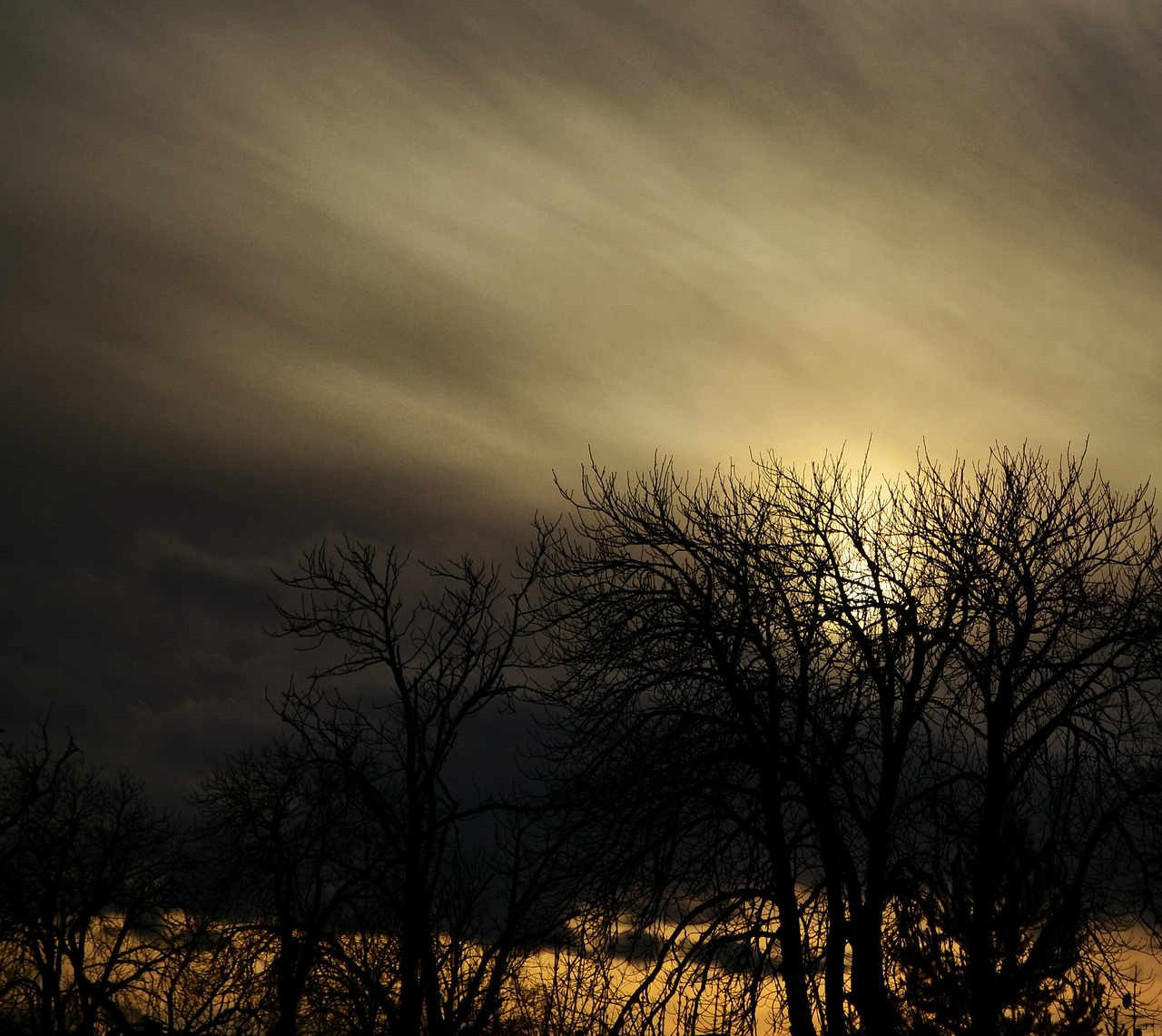 landscape trees clouds free photo