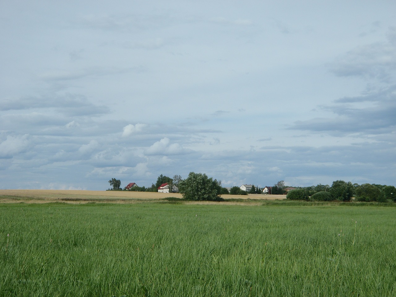 landscape field village free photo