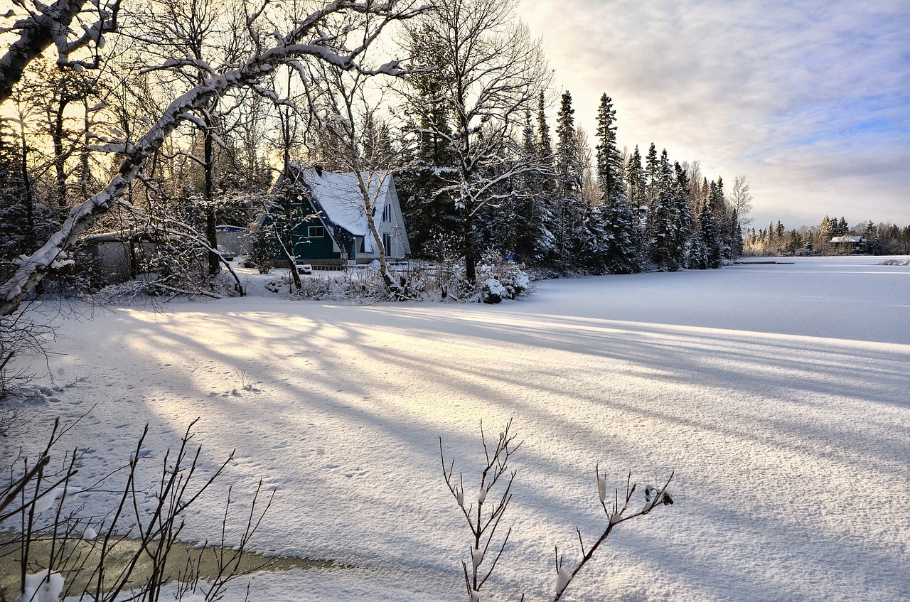 landscape winter snow free photo