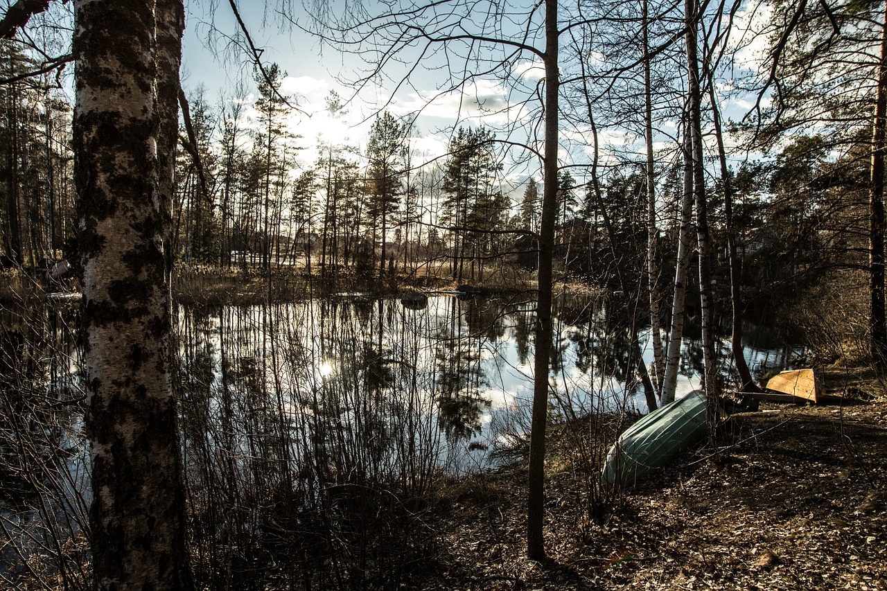 landscape river view free photo