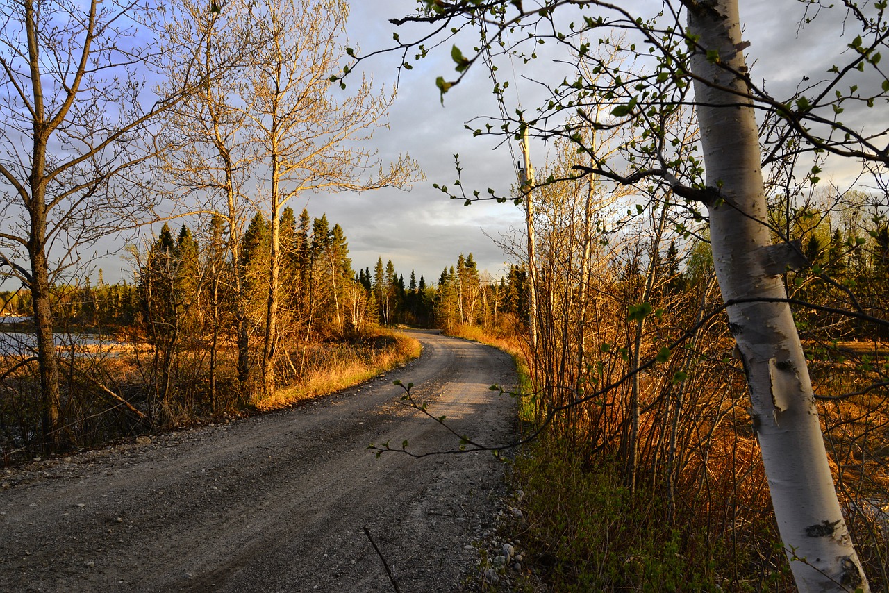 landscape path nature free photo