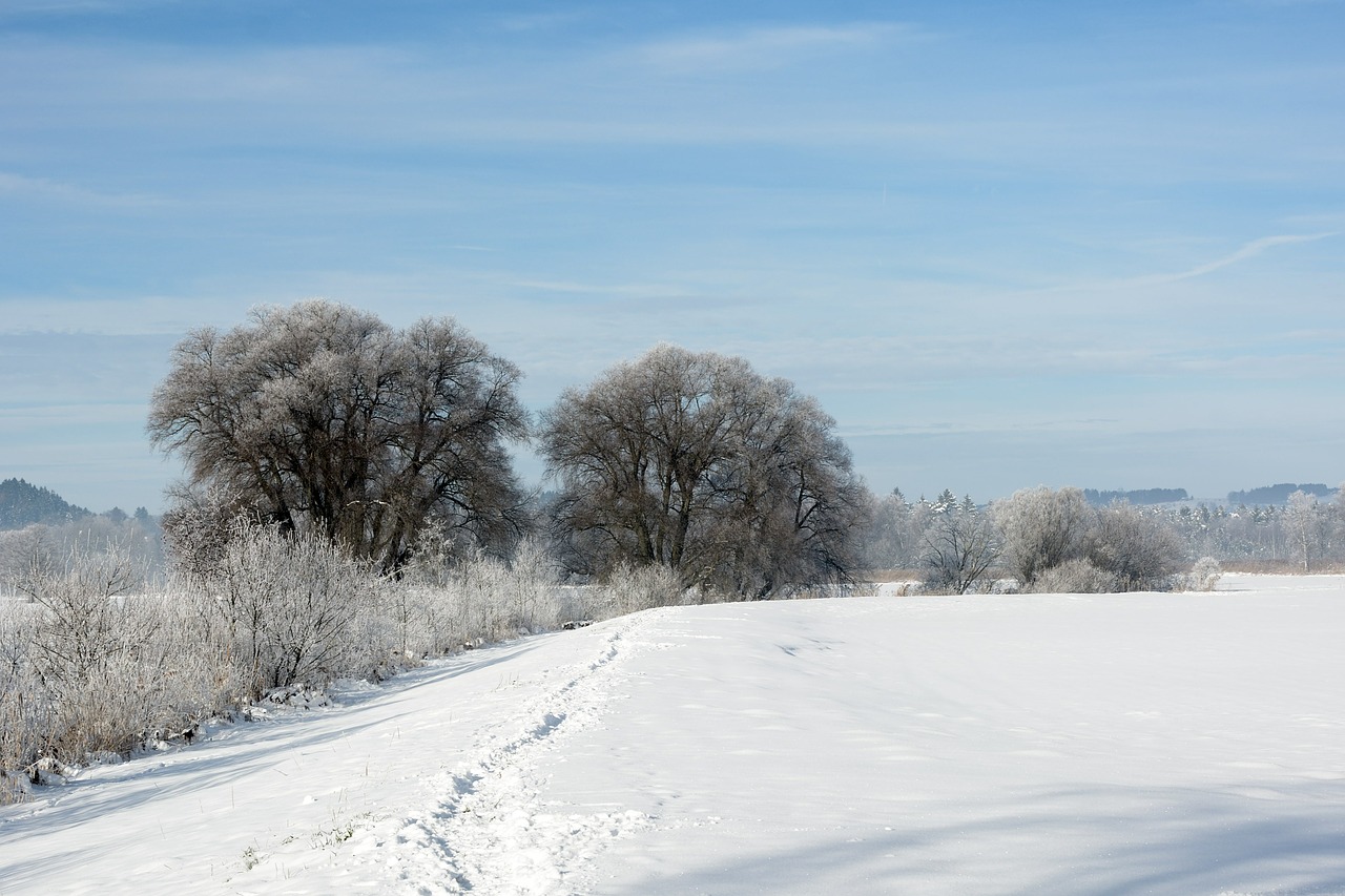 landscape winter snow free photo