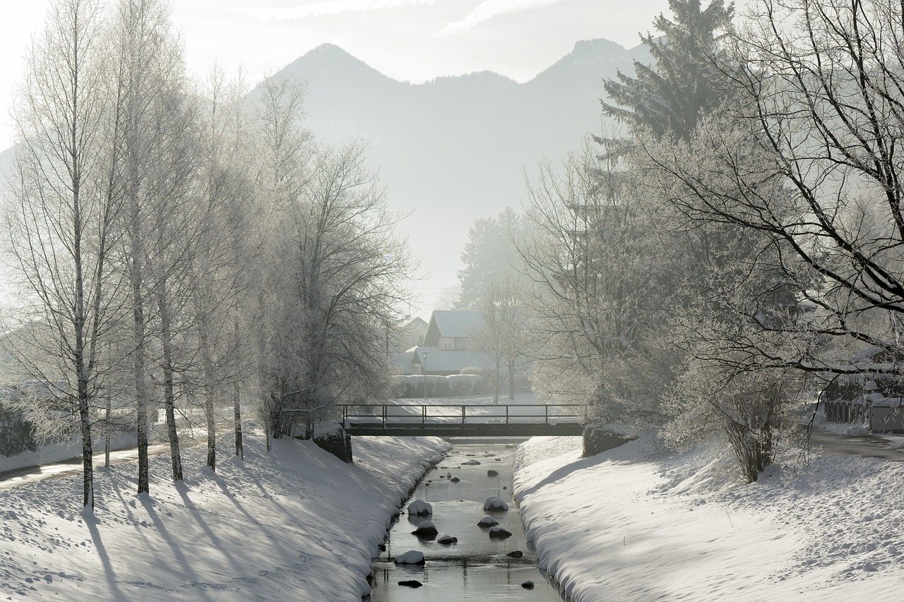 landscape winter snow free photo