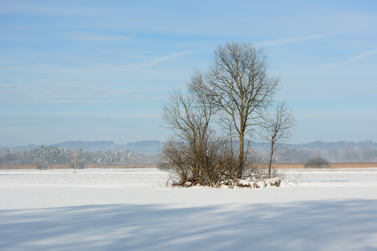 landscape winter snow free photo