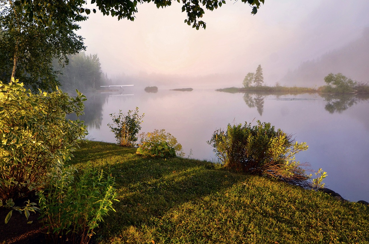 landscape mist nature free photo