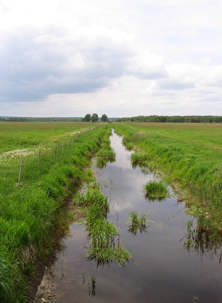 landscape bach moor free photo