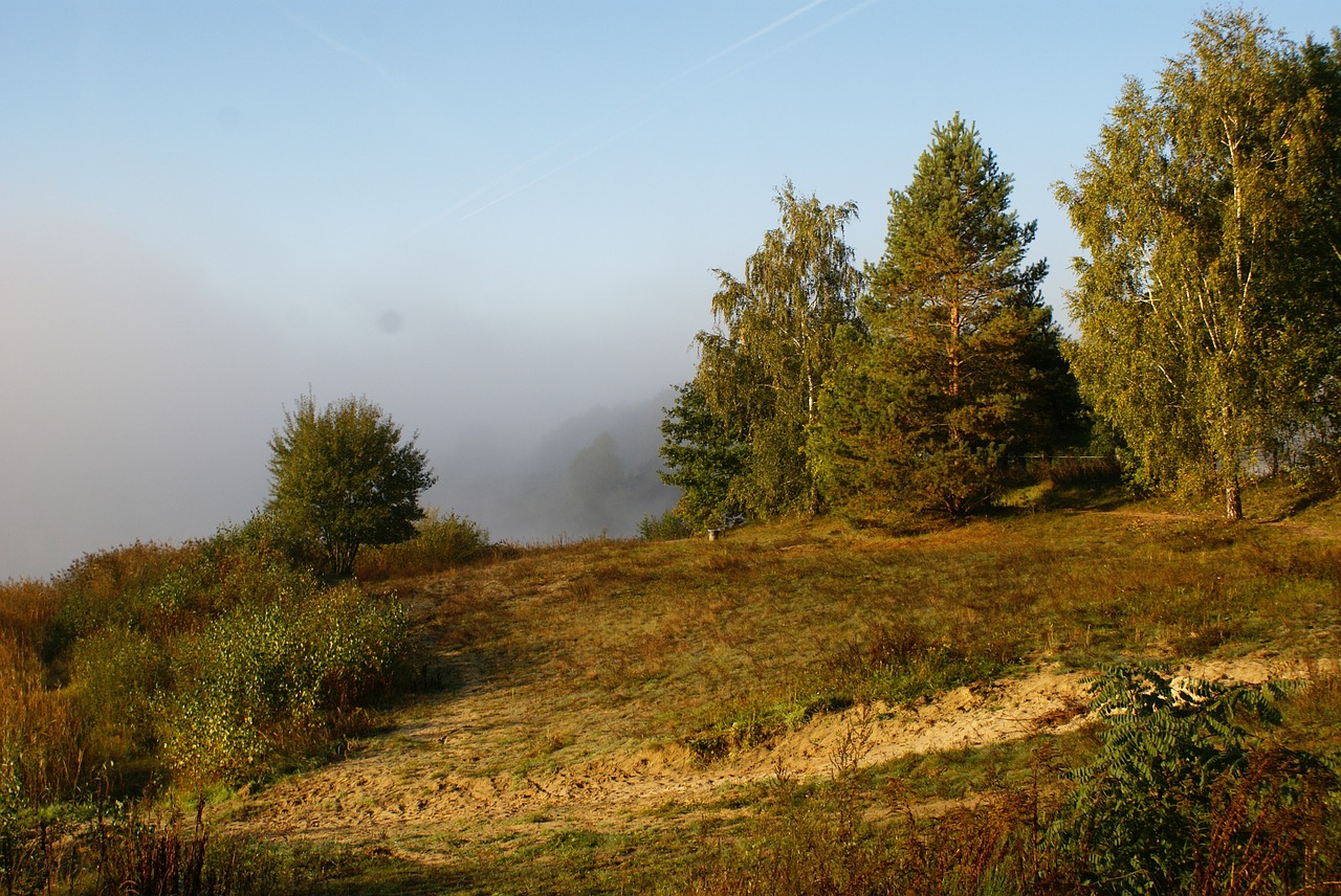 landscape morning mood free photo