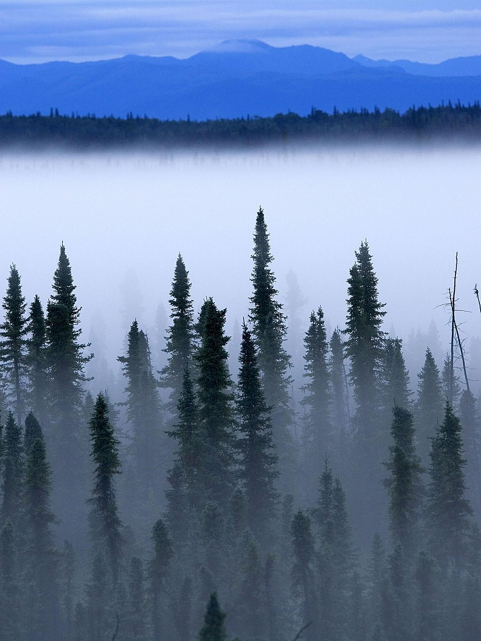 landscape mountains blue free photo