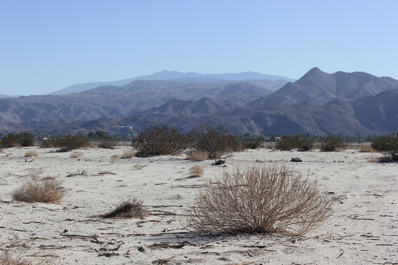 landscape desert palm springs free photo