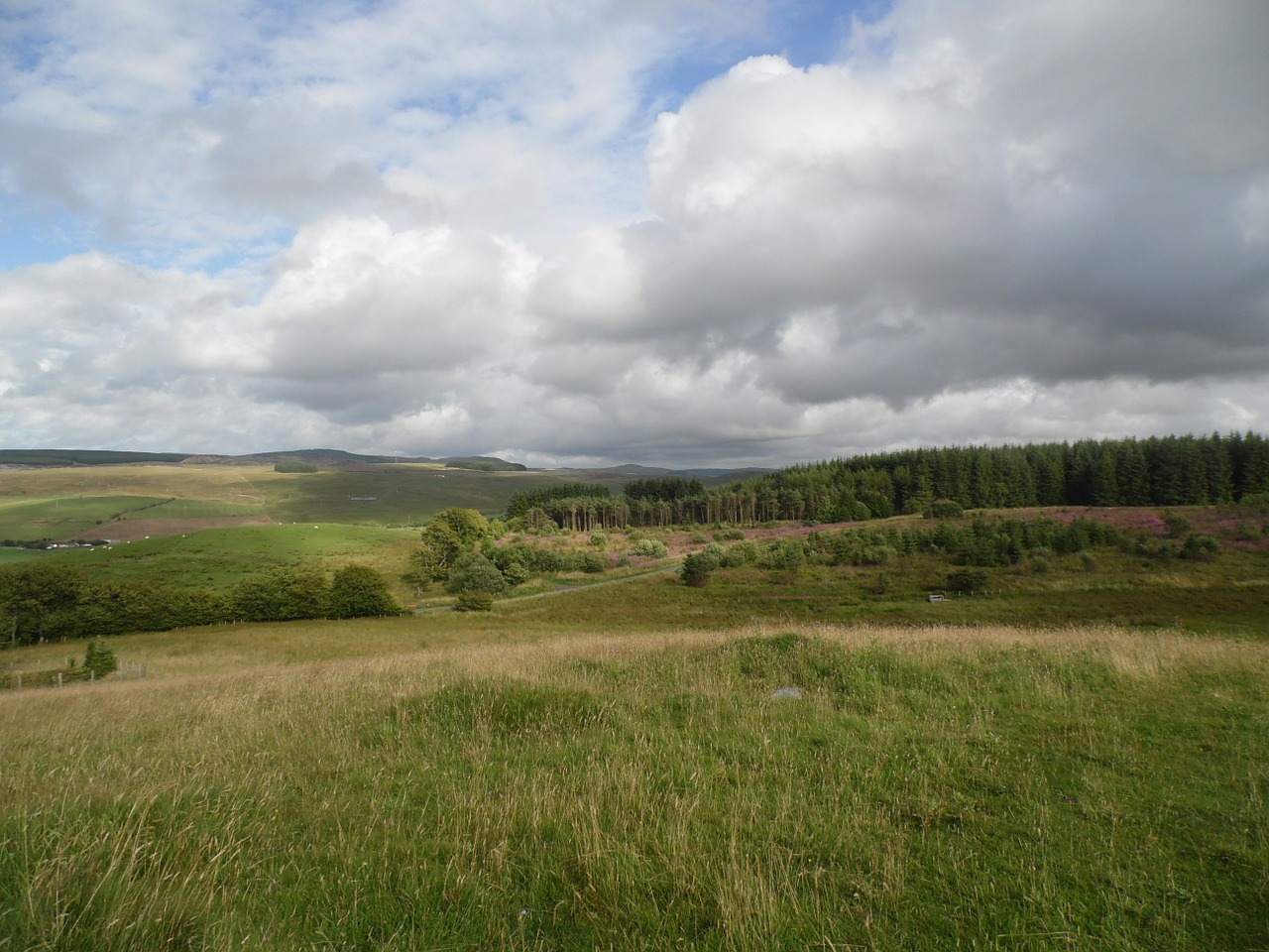 landscape hill grass free photo