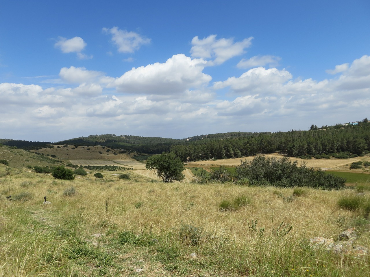 landscape sky nature free photo