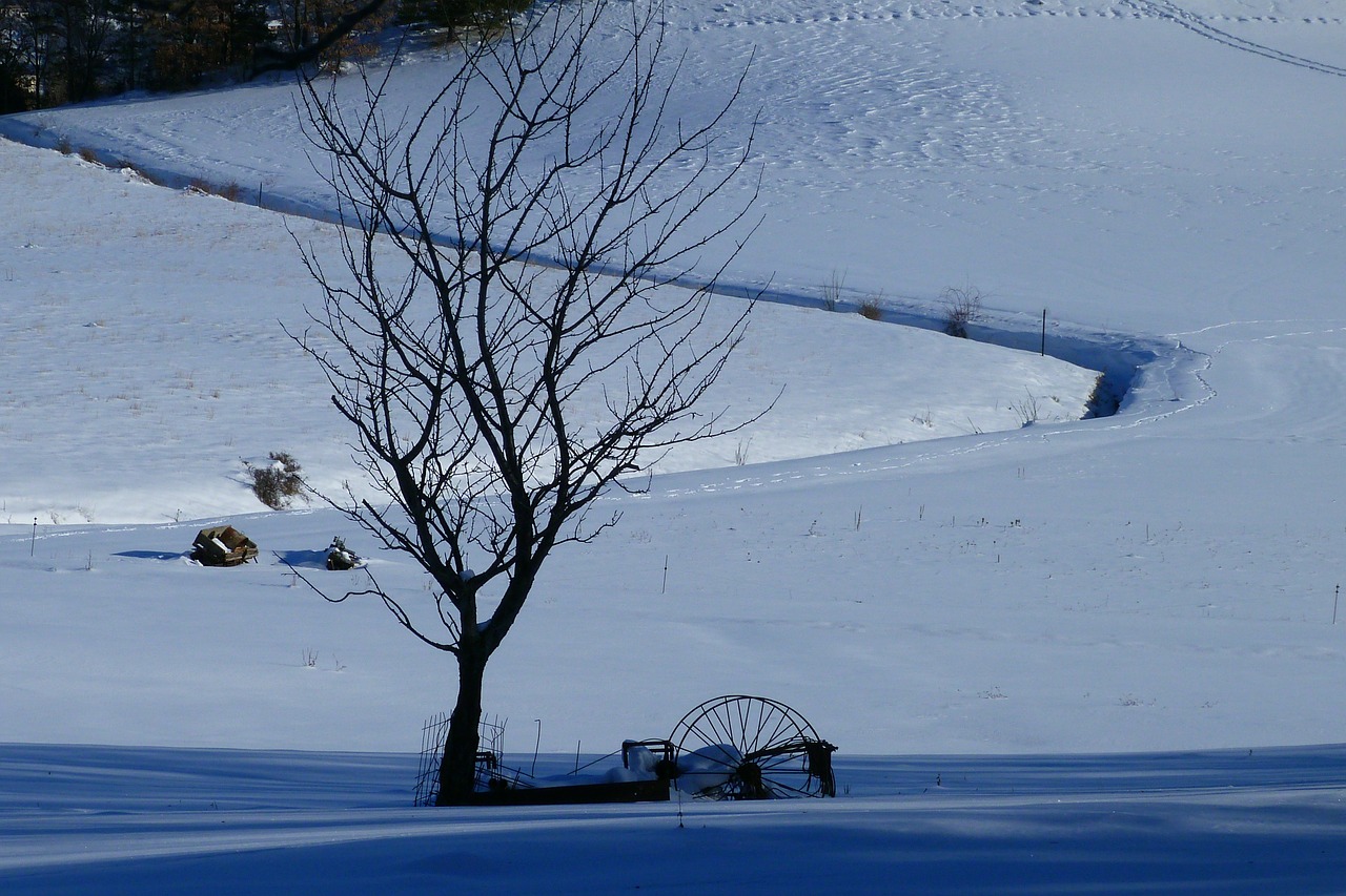 landscape winter scenery snow free photo