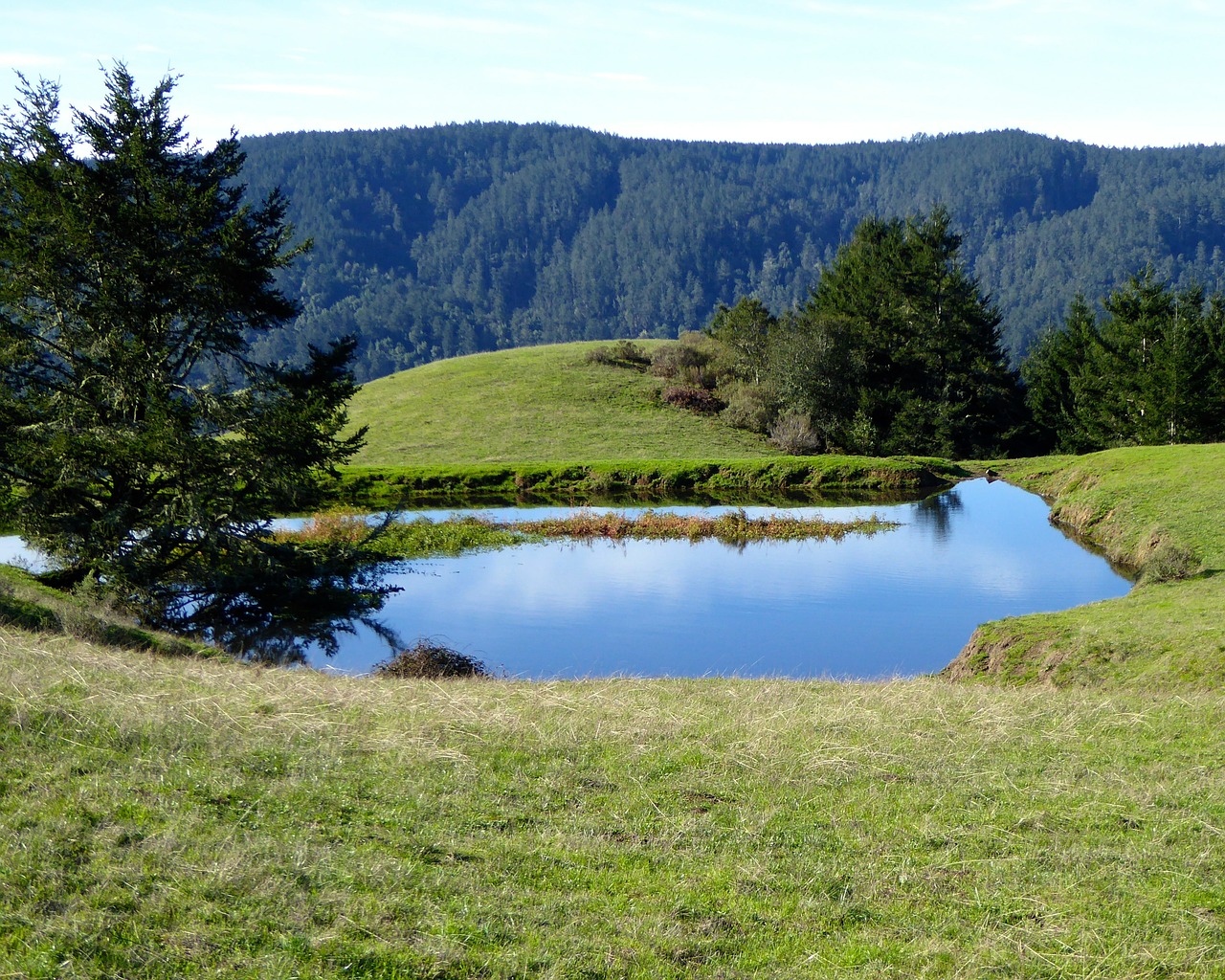 landscape nature tranquility free photo