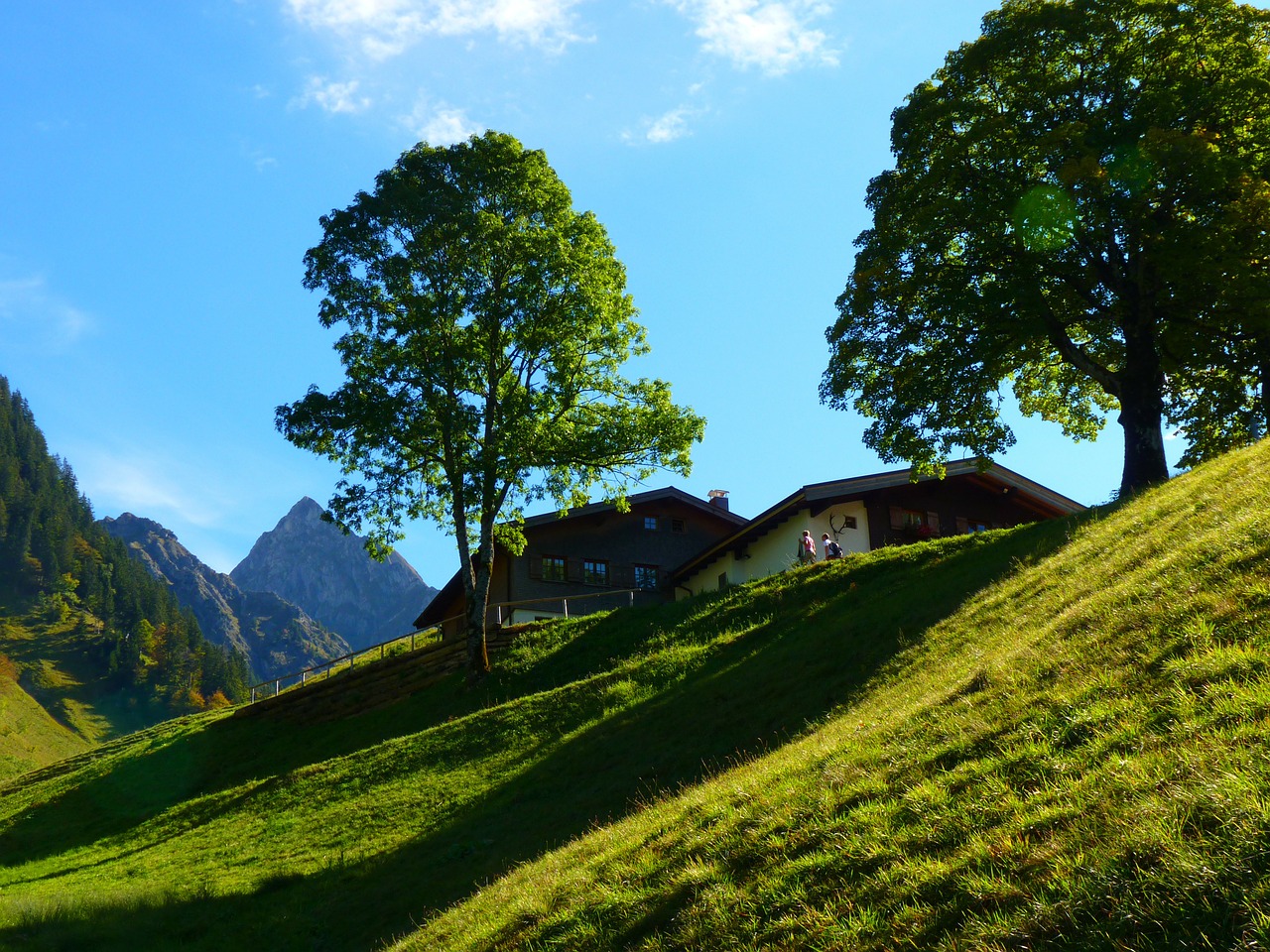 landscape mountains trees free photo