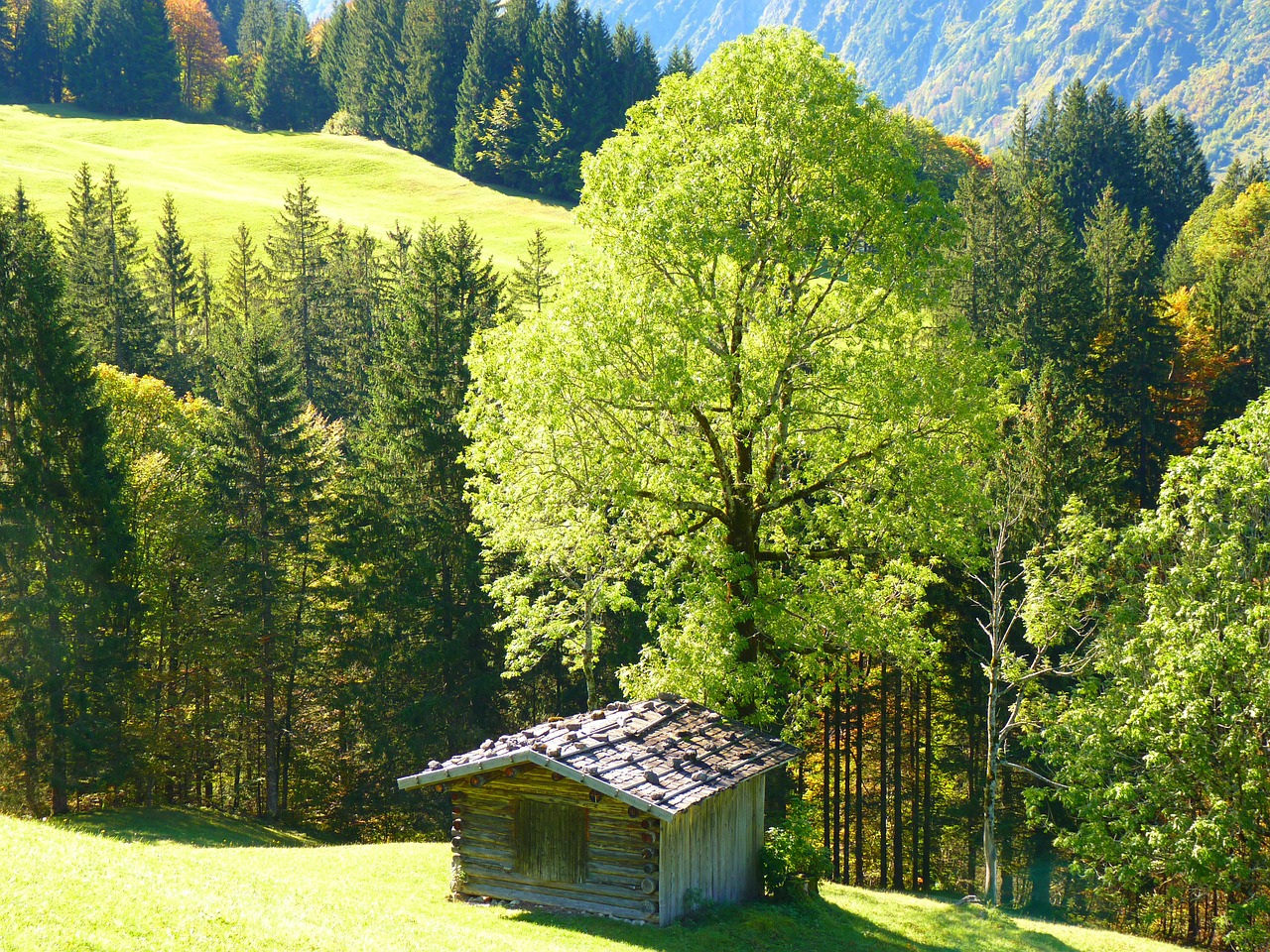 landscape hut trees free photo