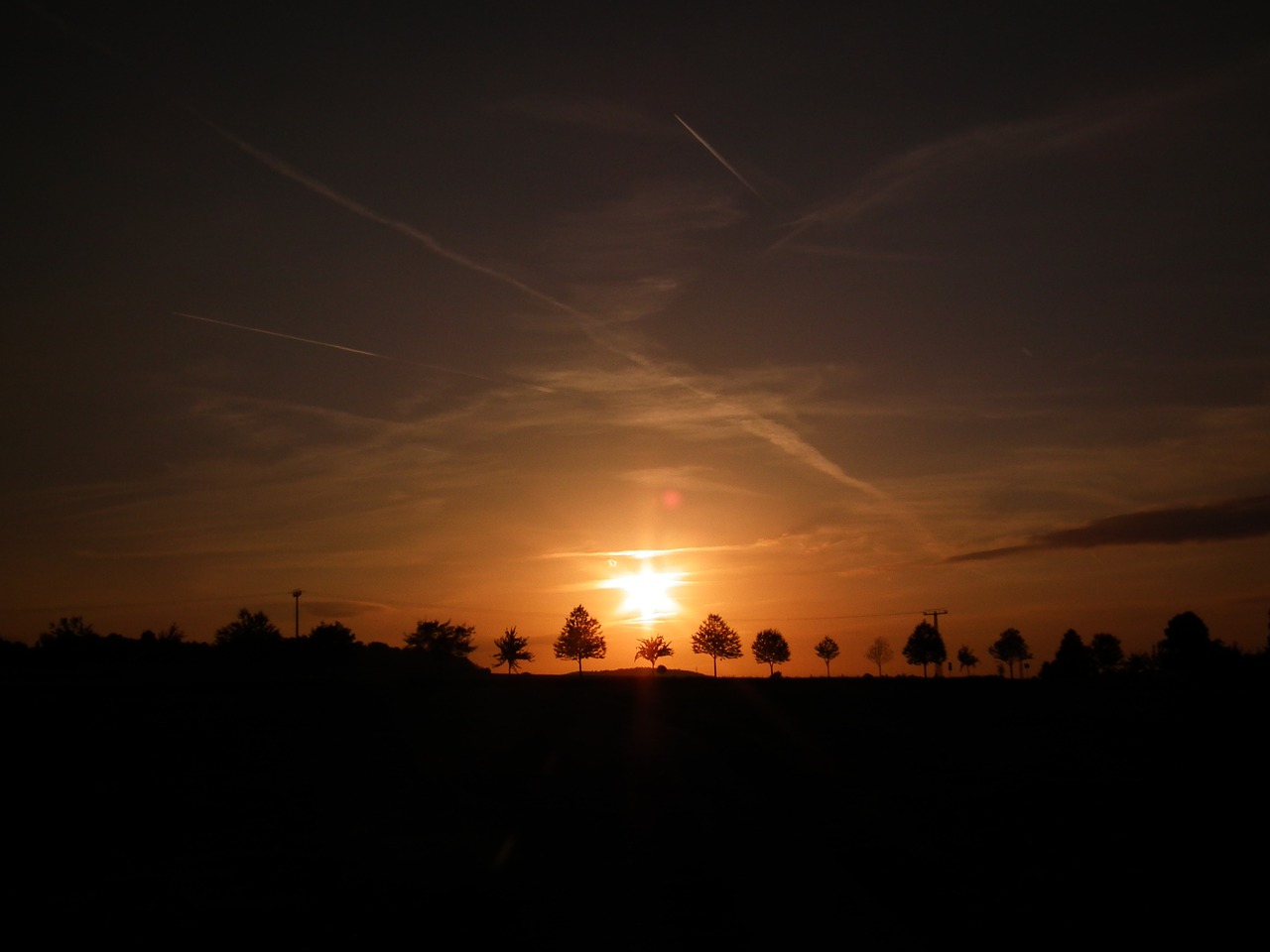 landscape trees nature free photo