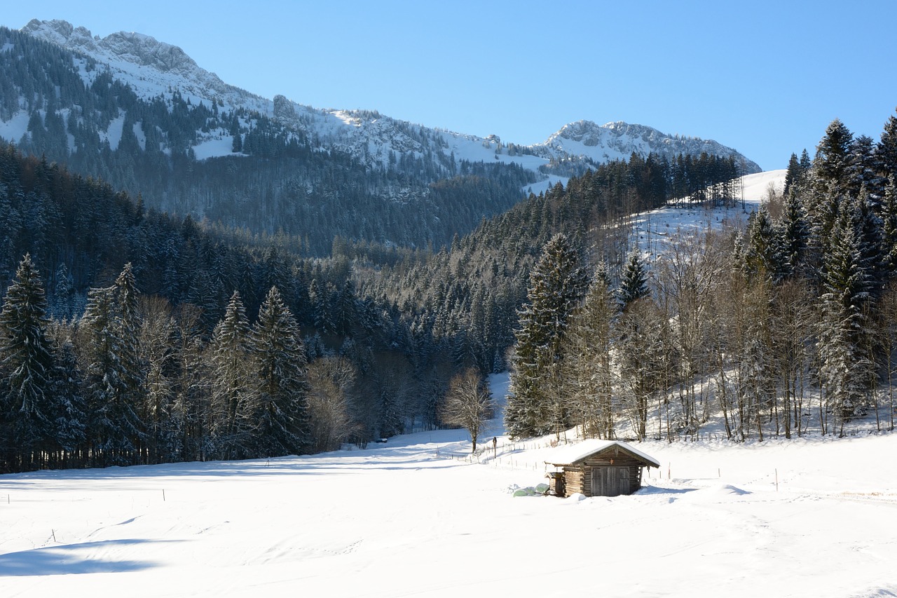 landscape bavaria winter free photo