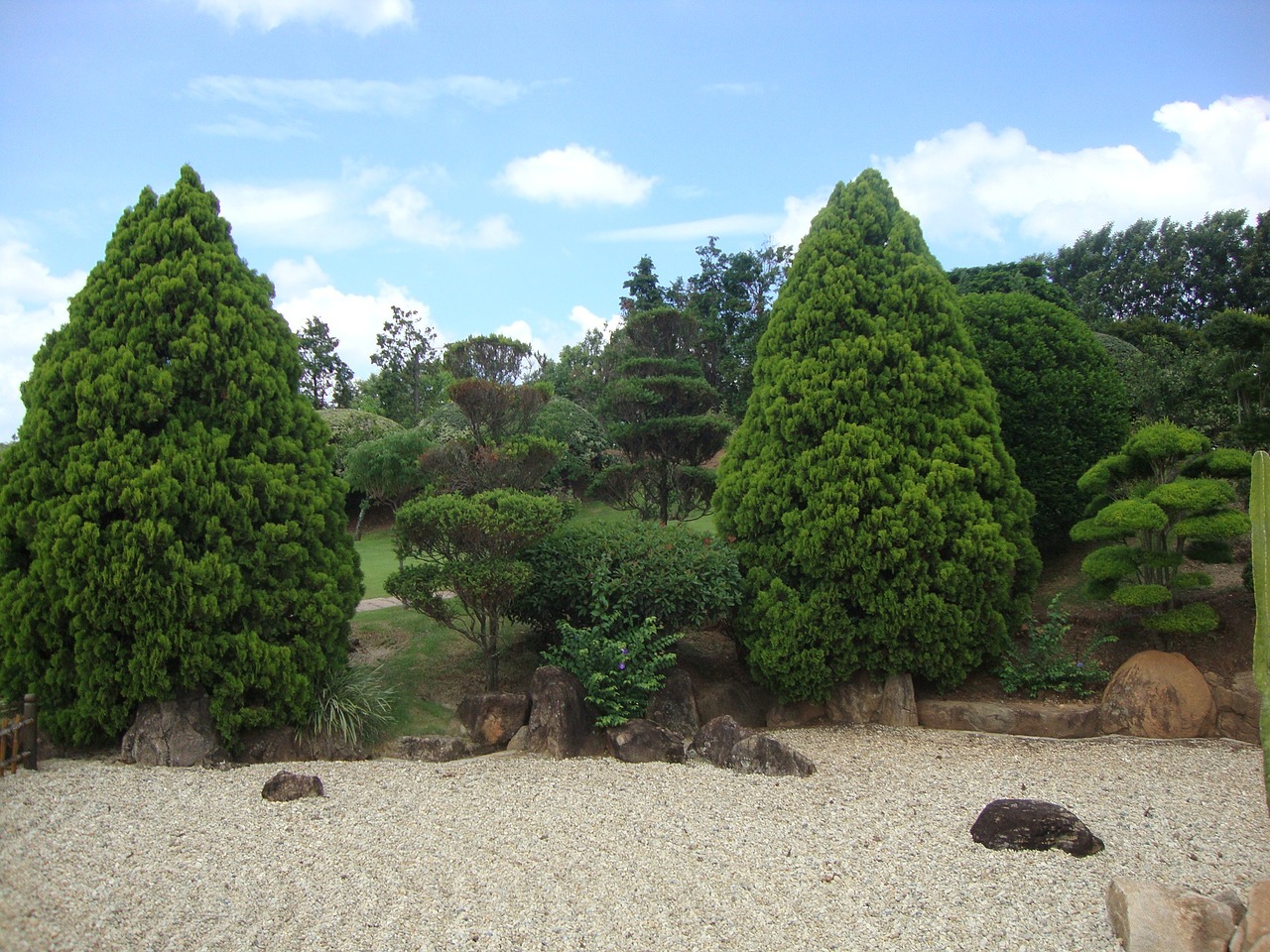 landscape tree nature free photo