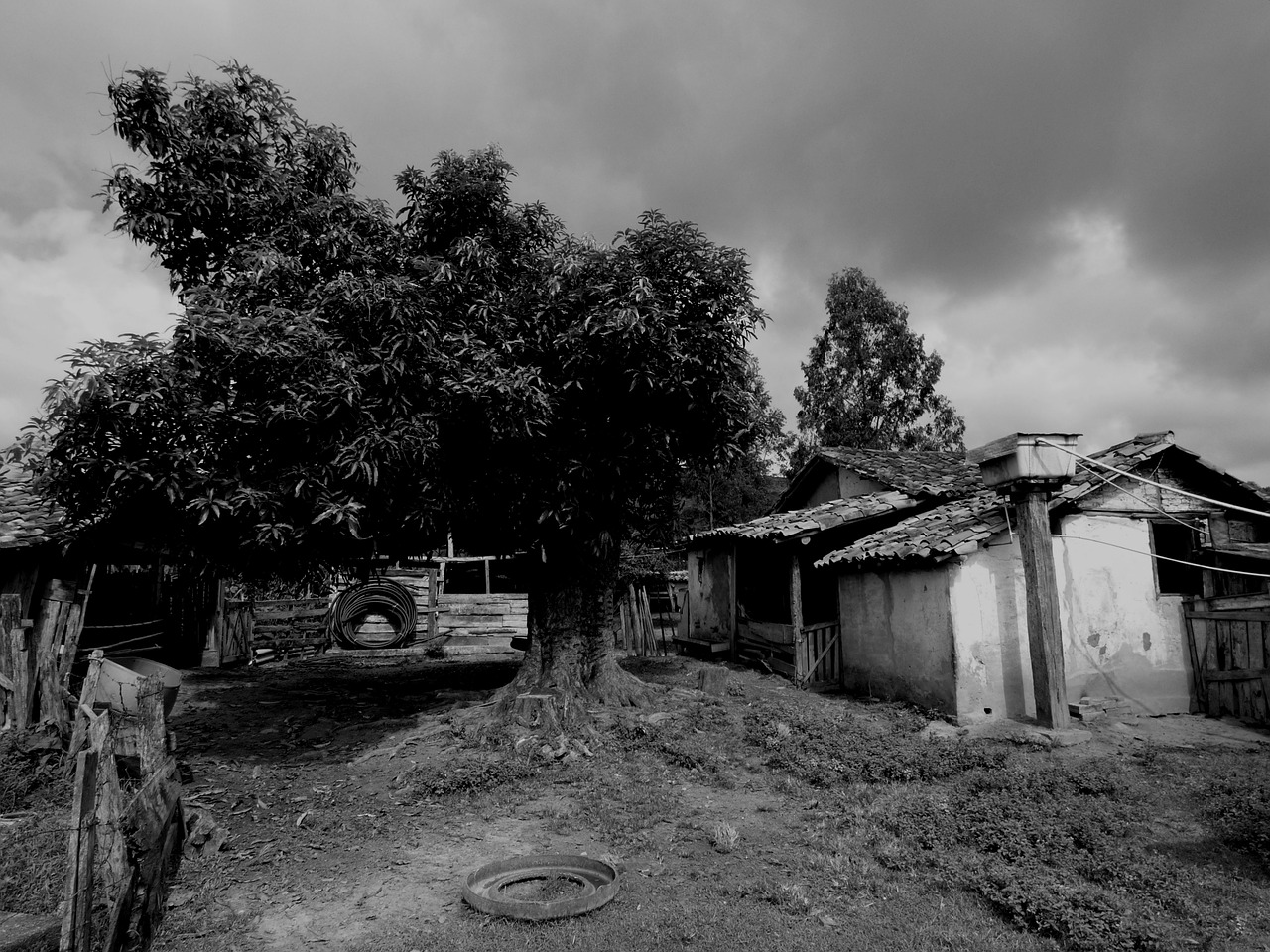 landscape black and white roça free photo