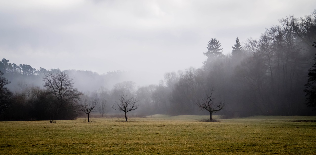 landscape fog nature free photo