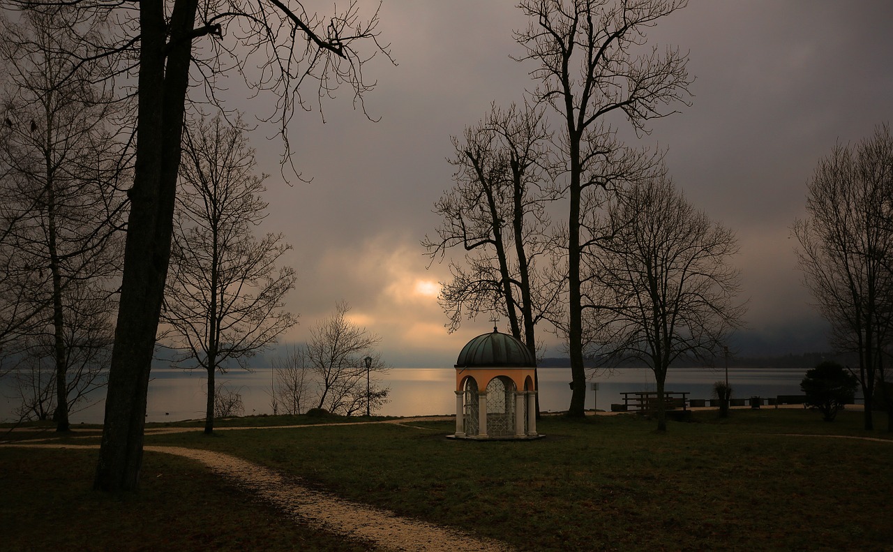 landscape fog morning free photo